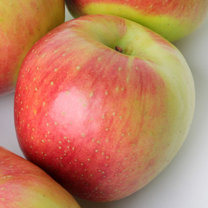 사과 가정용 흠집사과 10kg 45~70과 내외